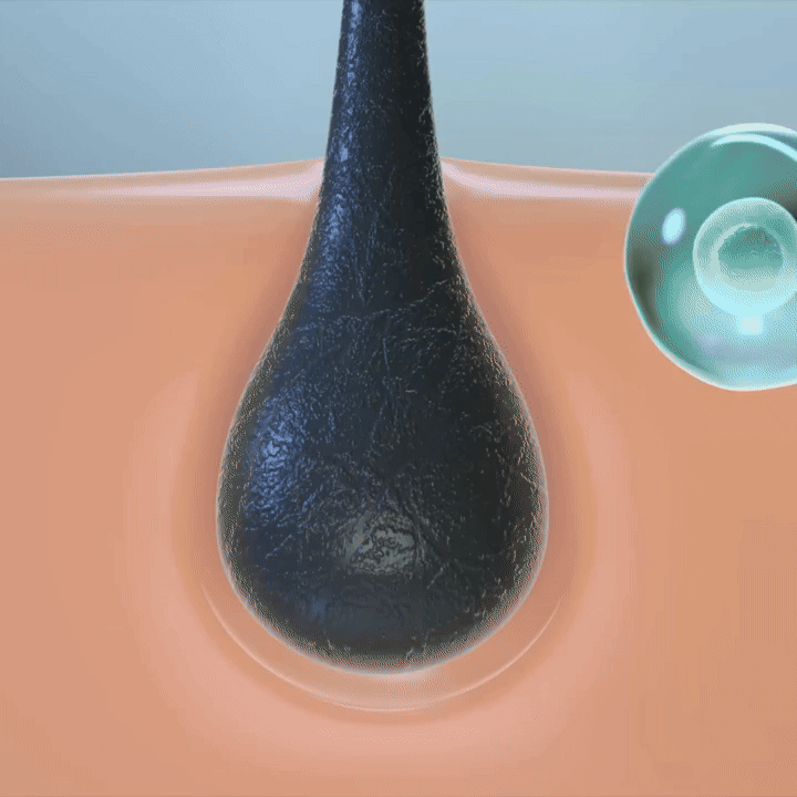 Gélules d’huile de pépins de courge