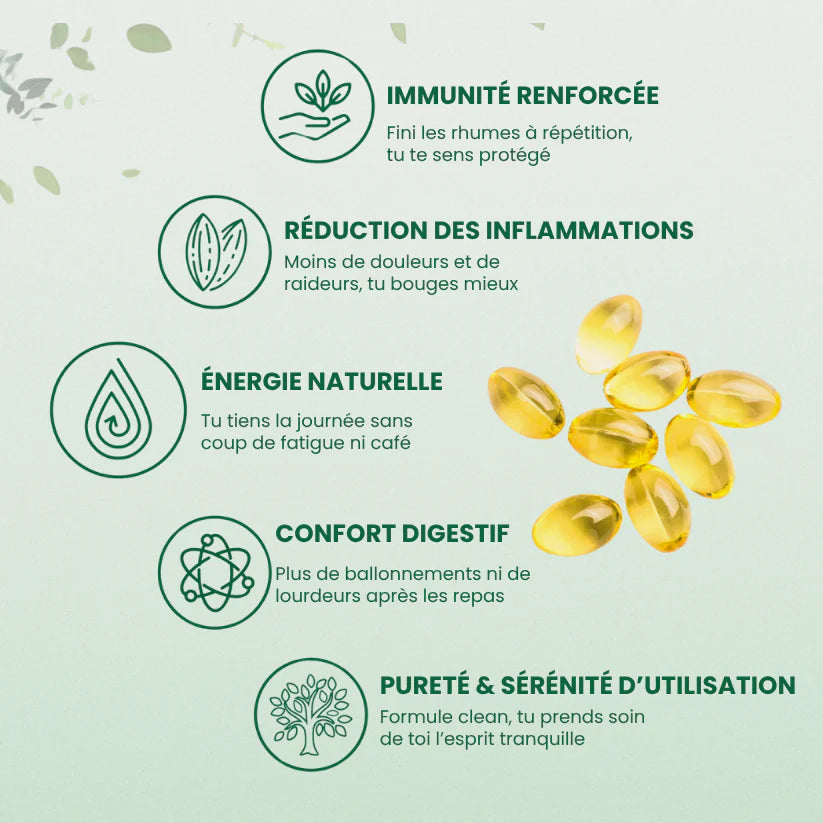 Gélules d’huile d’origan